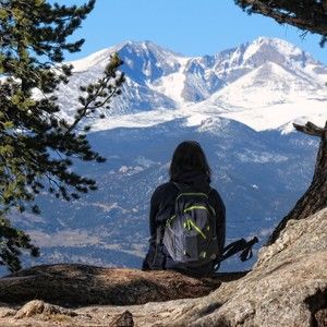 Meet your Posher, Bridgette